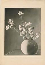 Étude au vase de fleur 1 nature morte c. 1940 photo photographie époque