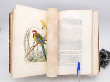 Le Jardin des Plantes - Histoire Naturelle (1843) LEMAOUT - Planches Couleurs
