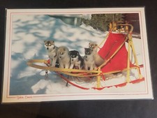 Vintage Yukon Canada Plastic