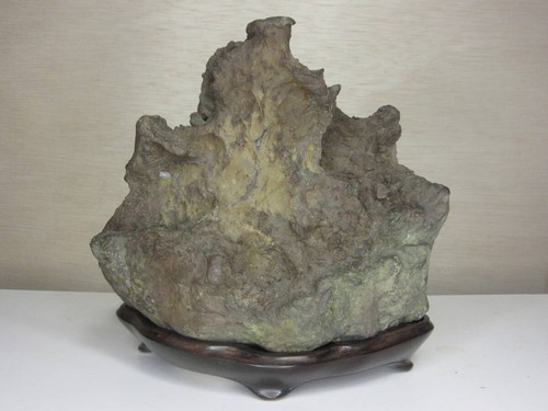 Suiseki bonseki bonsaï jardin - bonseki,