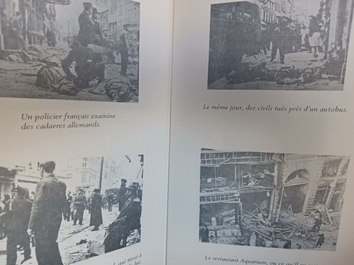 Boulonnais dans la - dans,
