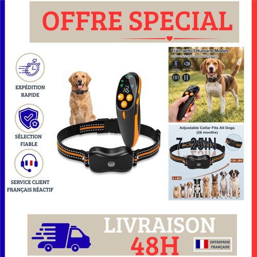 Collier dressage chien avec - de,