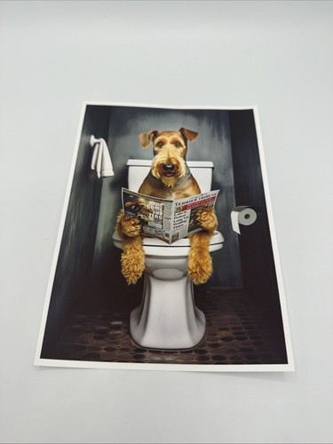 Affiche airedale terrier chien - airedale,