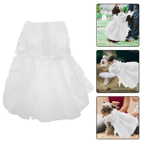 Tenue blanche pour animaux - pour, de