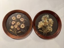 Lot 2 Cadre Herbiers Ancien