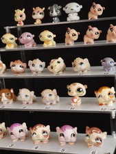 LPS hamsters, cochon d'Inde