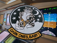 US NAVY VFA-31 Escadron Chasseurs d'attaque F14 TOMCAT DARK ?5a.