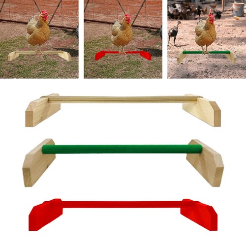Perchoir poussins support - perchoir,