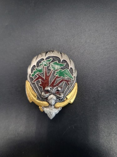 Insigne militaire parachutiste - militaire,