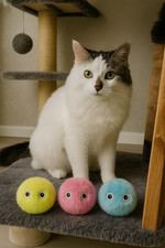 Balle Interactive Intelligente