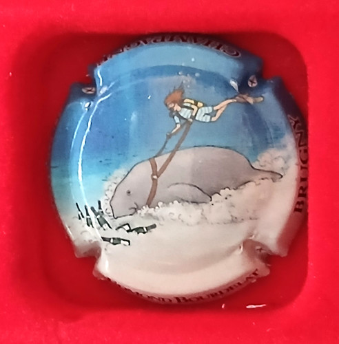 Capsule champagne edmond - de,