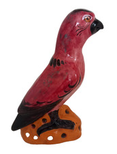 Perroquet alfred renoleau - alfred,