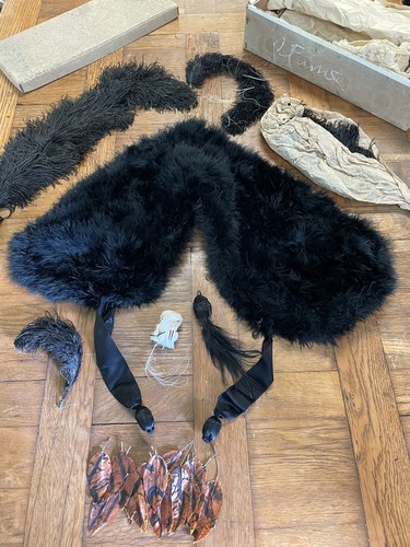 Lot plume col ancien xixeme - de,