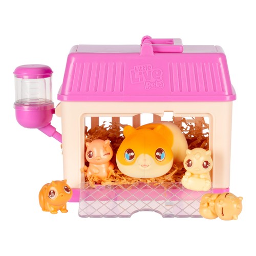 Beast lab little live pets - mr,