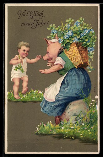 Truie accueille son enfant - accueille,