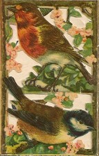 CHROMO CINQ VOLETS OISEAUX CANARIS PEROQUETS