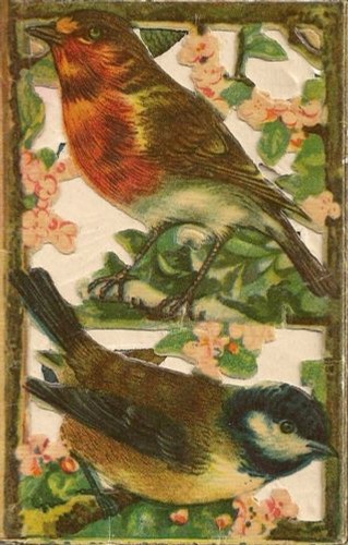Chromo cinq volets oiseaux - volets,