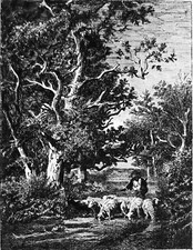 TROUPEAU DE MOUTONS sous bois (par DUPRÉ) - Gravure d'art du 19e siècle