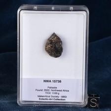 Météorite NWA 15738 de 5,62 g -Sidérolithe Pallasite dans sa boite