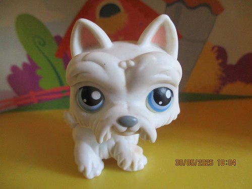 Petshop chien westie - ,