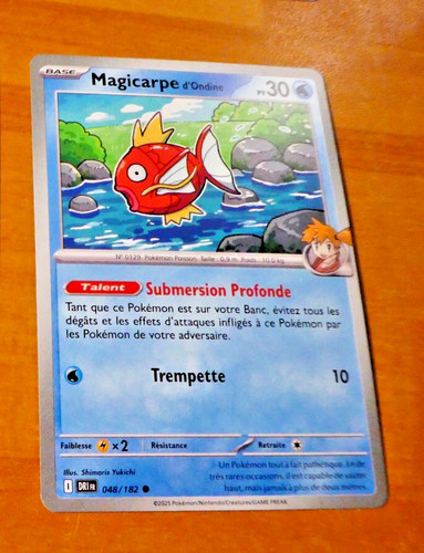 Pokemon rivalites destinees - pokemon,