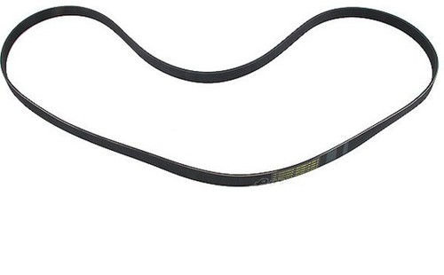 Ceinture entraînement pour - ceinture, d'entraÎnement