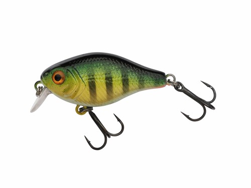 Pulse fry shallow - pulse, |
