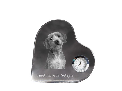 Basset fauve bretagne - basset, de