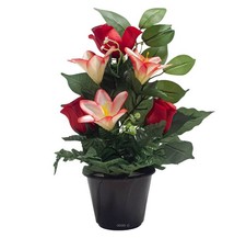 Pot de Boutons de Roses fleurs