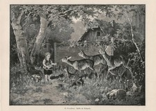 Idylle Dans Le Parc Des Cerfs