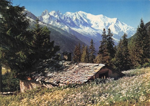 Chamonix mont blanc ferme - 74,