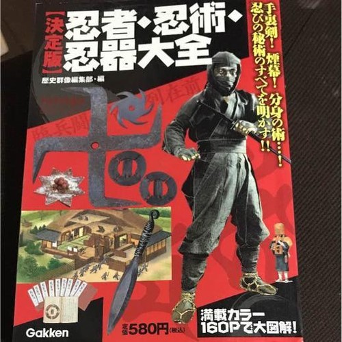 Livre guide ninja - guide,