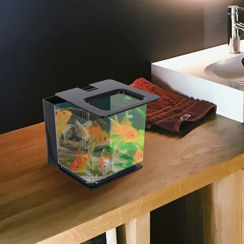 Soins des poissons changement - des,