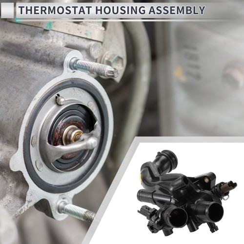 Engine coolant thermostat - engine,