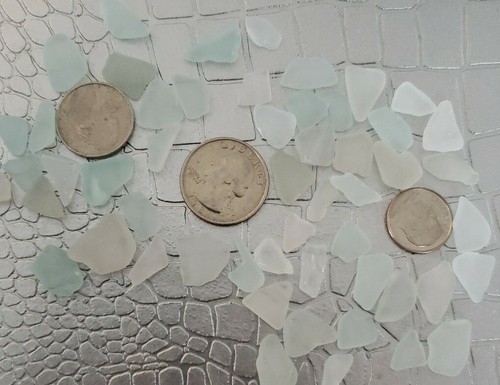 Pieces genuine lake erie - pieces, ~