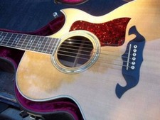 815C Taylor guitar - Golden
