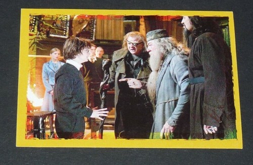 Panini harry potter - panini,