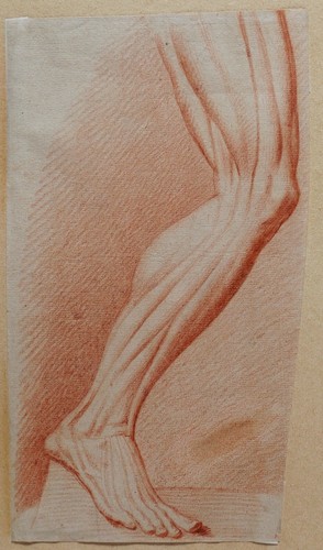 Dessin ancien corps humain - ancien,