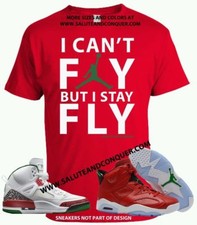 JORDAN 6 HISTORY AND SPIZIKES