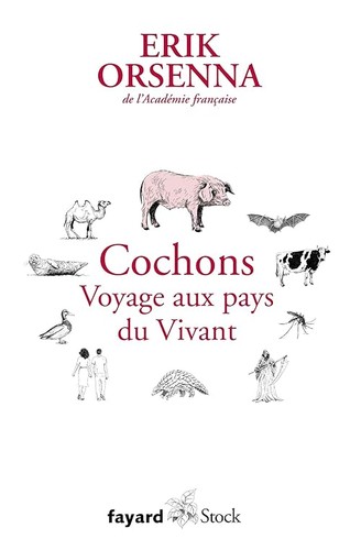 Cochons voyage aux - voyage, pays