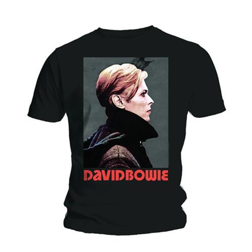 David bowie low - portrait, rock