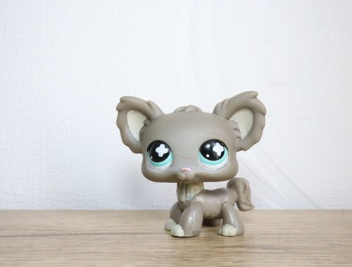 Littlest petshop chihuahua - littlest,