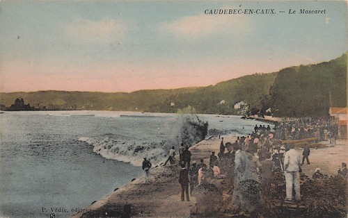 Caudebec caux le - 76,