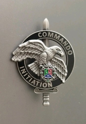 Insigne brevet commando - insigne,
