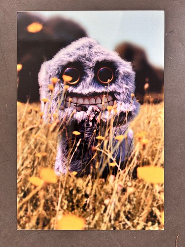 Fuzz par kriki - fuzz, photo