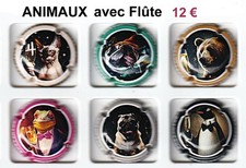 CAPSULES de CHAMPAGNE