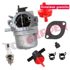Carburateur avec filtre pour - carburateur,