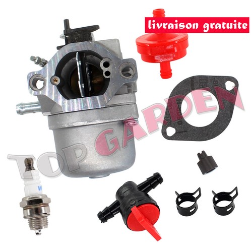 Carburateur avec filtre pour - carburateur,