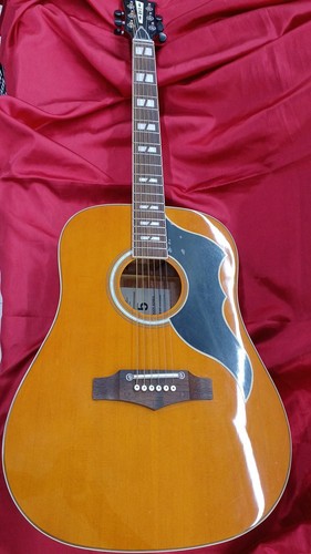 Eko acoustic guitar - guitar, vi