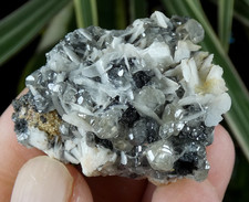 Cérusite & Baryte Mibladen